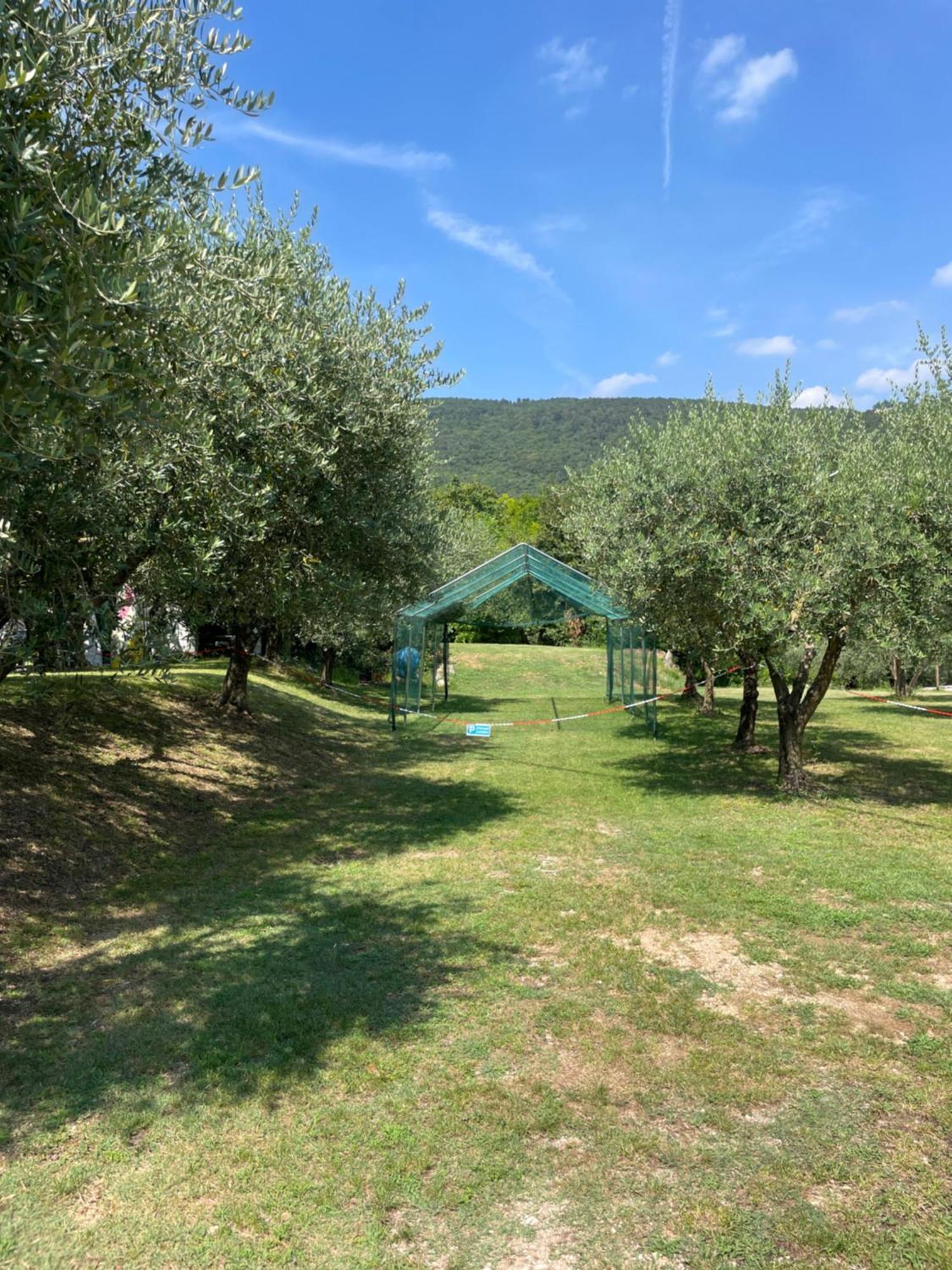 La Zinevrela Holiday home