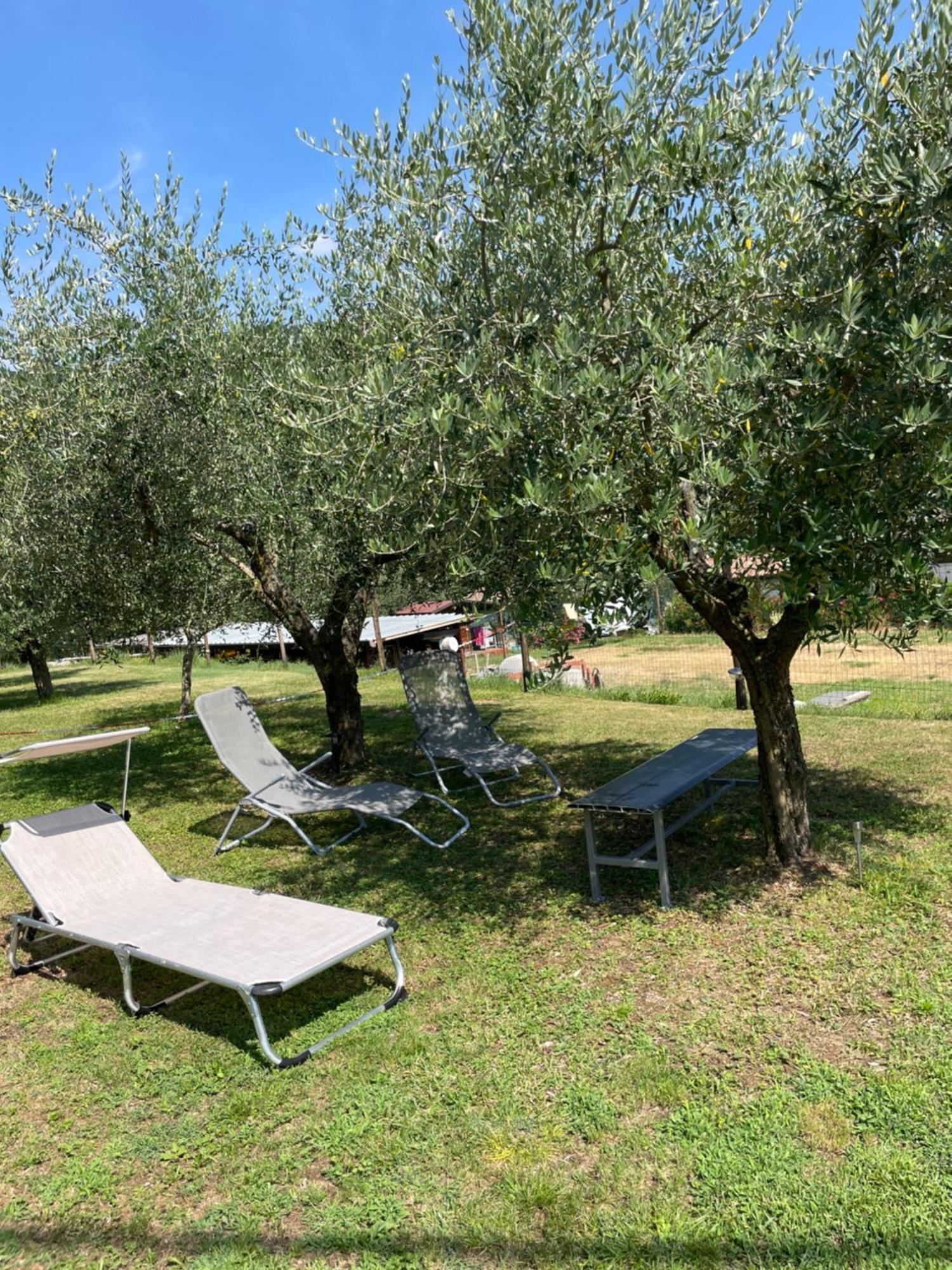 Holiday home La Zinevrela